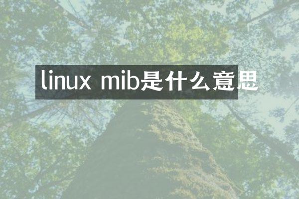 linux mib是什么意思