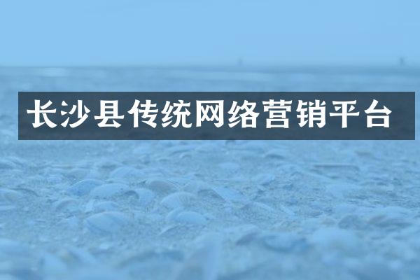 长沙县传统网络营销平台