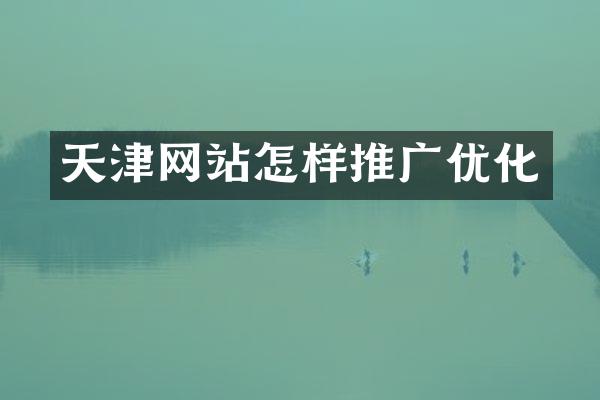 天津网站怎样推广优化