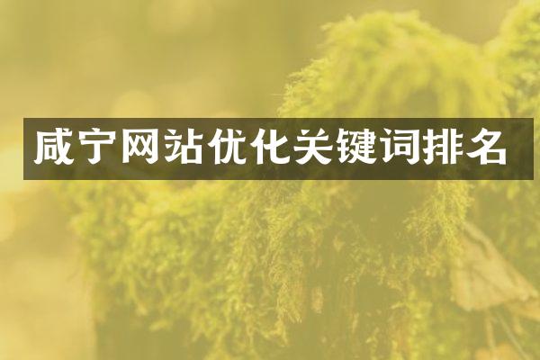 咸宁网站优化关键词排名