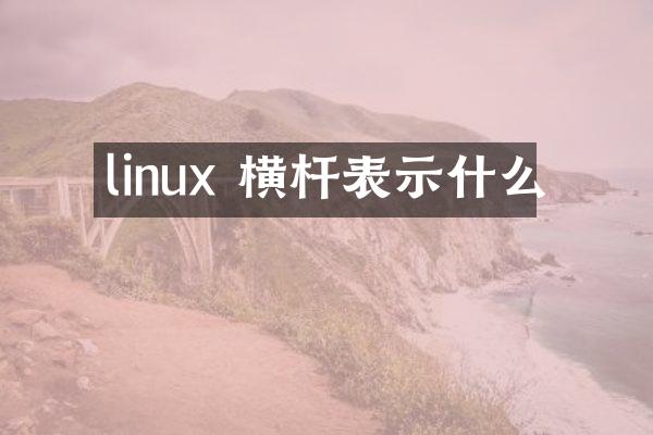linux 横杆表示什么