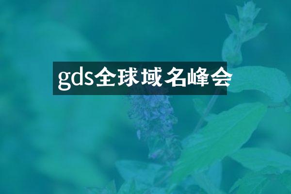 gds全球域名峰会