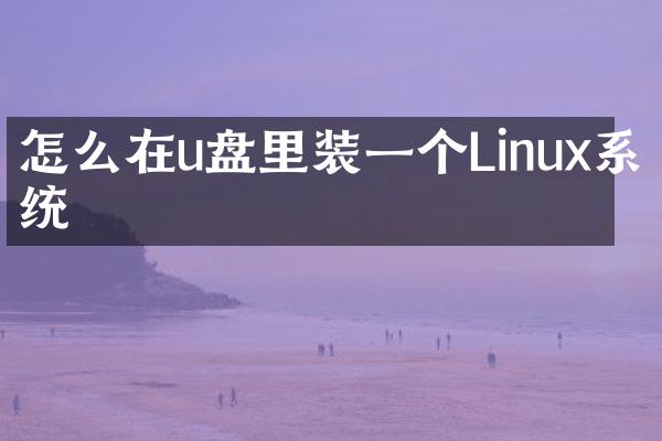 怎么在u盘里装一个Linux系统