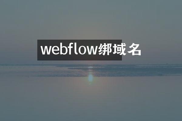 webflow绑域名