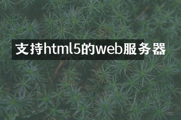 支持html5的web服务器