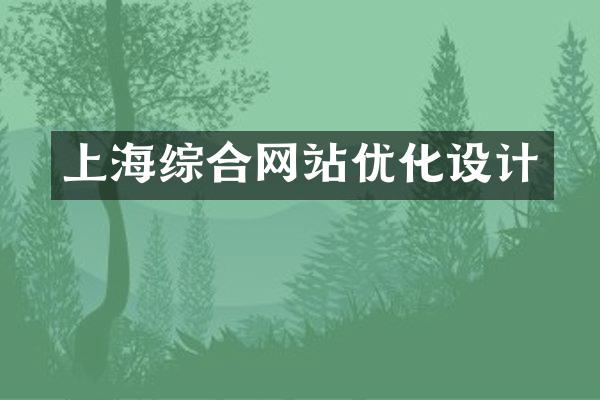 上海综合网站优化设计