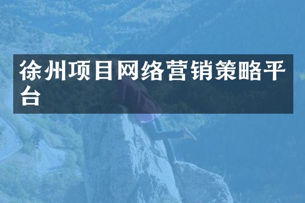 徐州项目网络营销策略平台