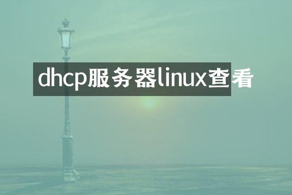 dhcp服务器linux查看