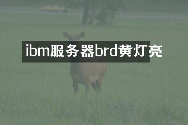 ibm服务器brd黄灯亮