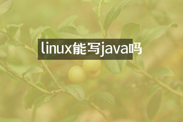 linux能写java吗