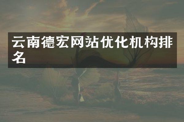 云南德宏网站优化机构排名
