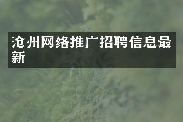 沧州网络推广招聘信息最新