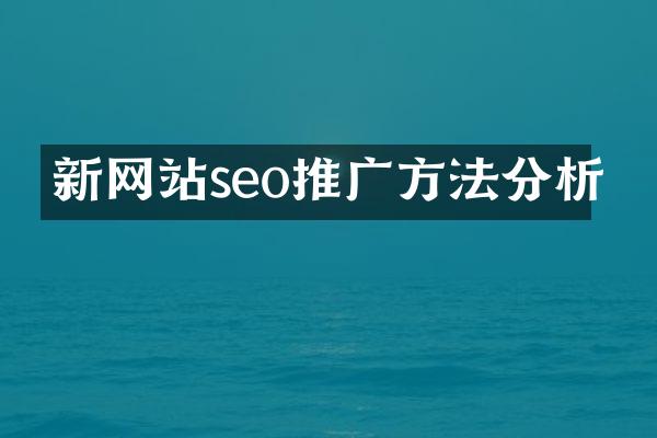 新网站seo推广方法分析