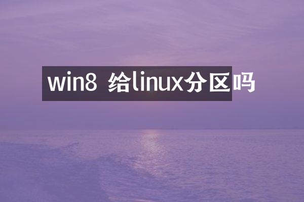 win8 给linux分区吗