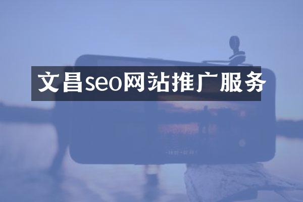 文昌seo网站推广服务