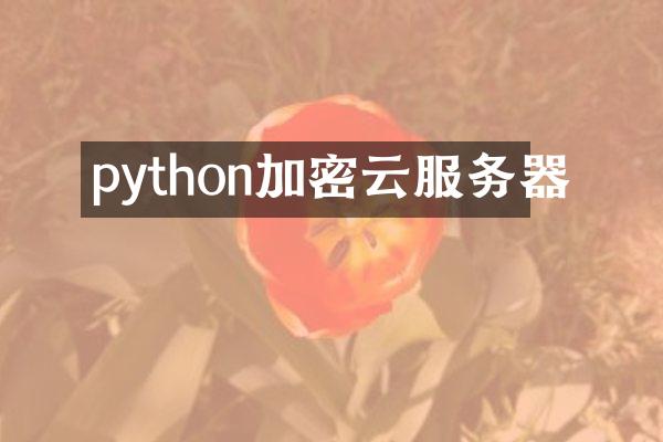 python加密云服务器
