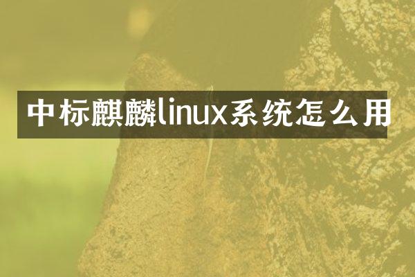中标麒麟linux系统怎么用