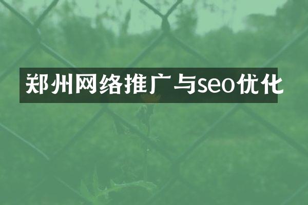 郑州网络推广与seo优化
