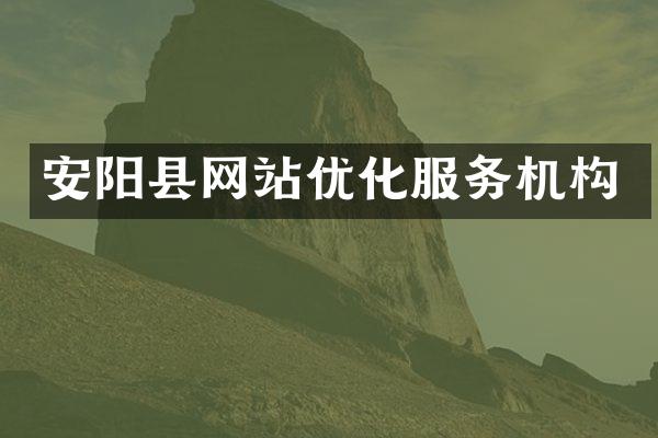 安阳县网站优化服务机构