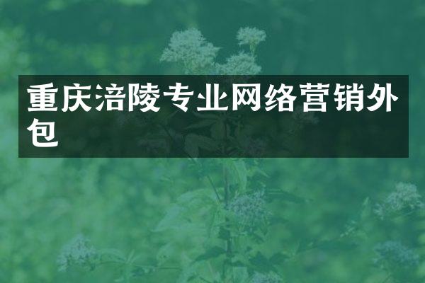 重庆涪陵专业网络营销外包
