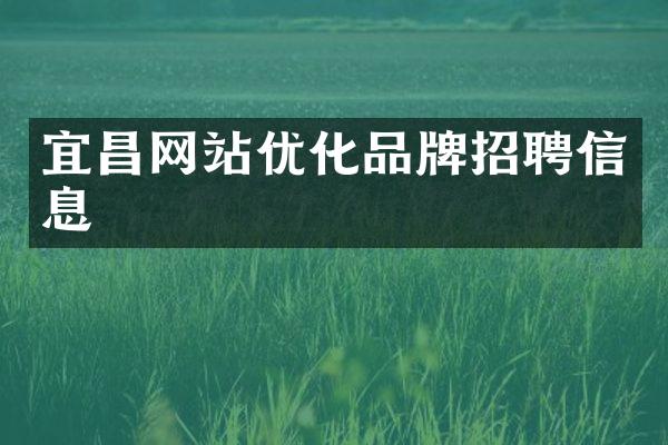 宜昌网站优化品牌招聘信息