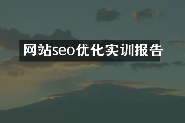 网站seo优化实训报告