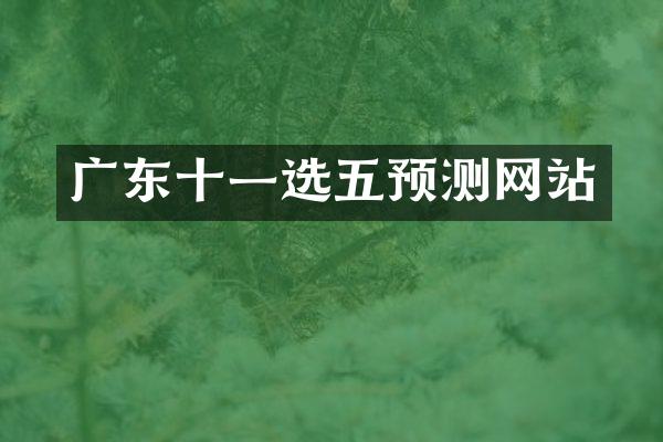 广东十一选五预测网站