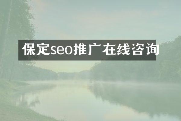 保定seo推广在线咨询