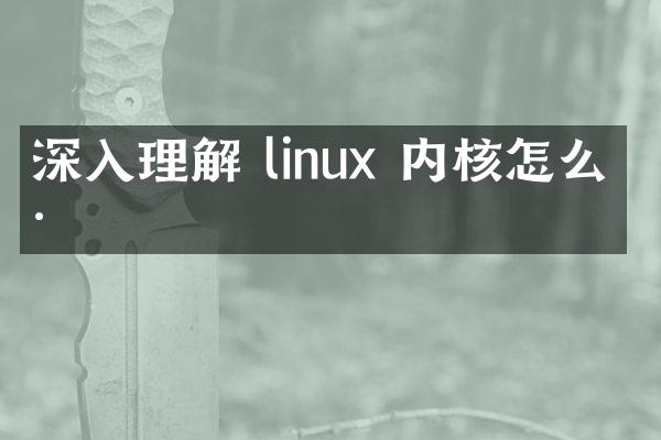 深入理解 linux 内核怎么样