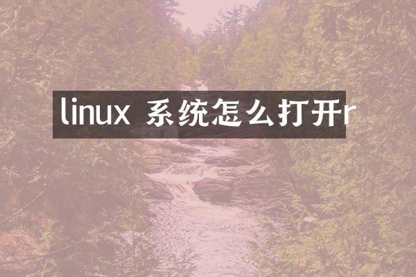linux 系统怎么打开r