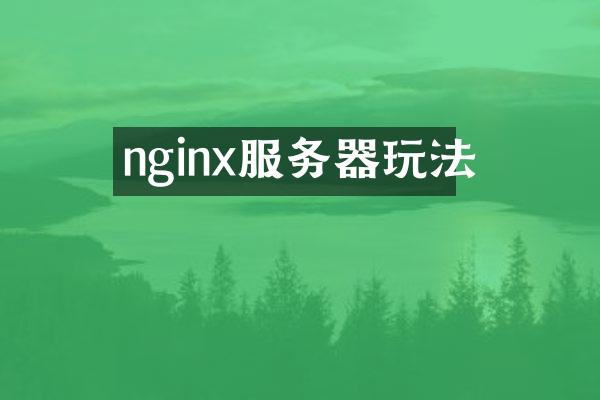 nginx服务器玩法