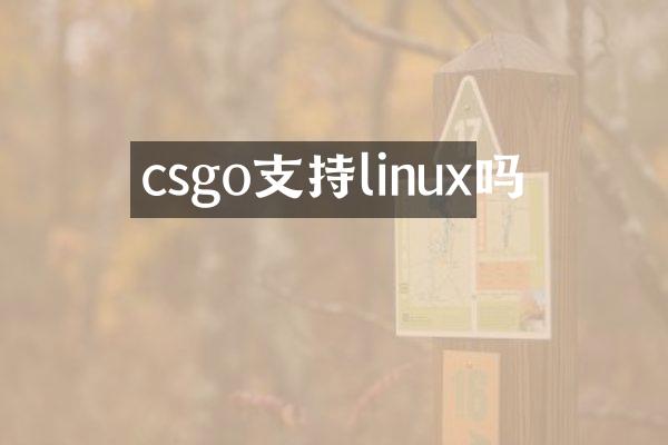 csgo支持linux吗