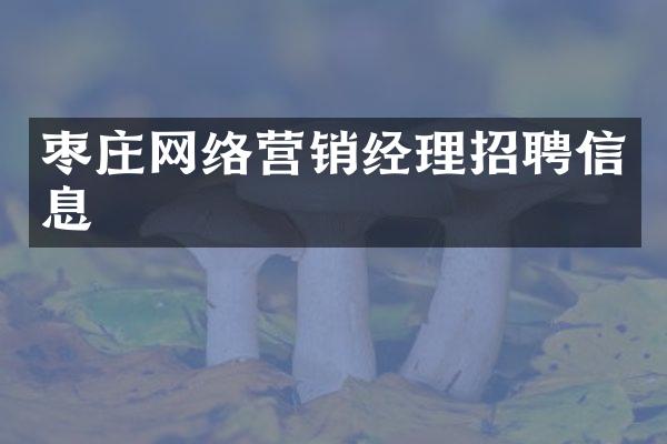 枣庄网络营销经理招聘信息