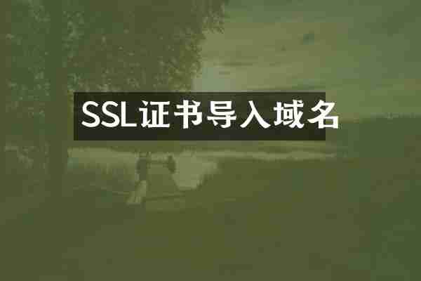SSL证书导入域名