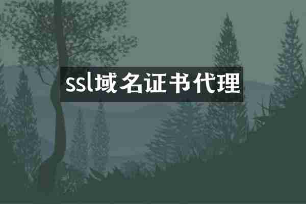 ssl域名证书代理