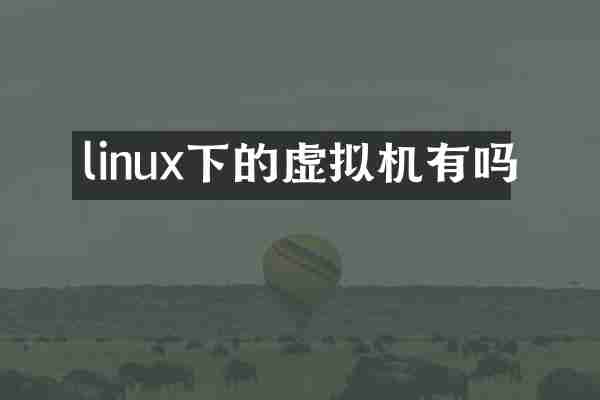 linux下的虚拟机有吗