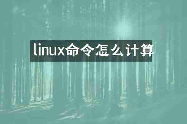 linux命令怎么计算