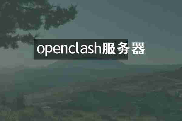 openclash服务器