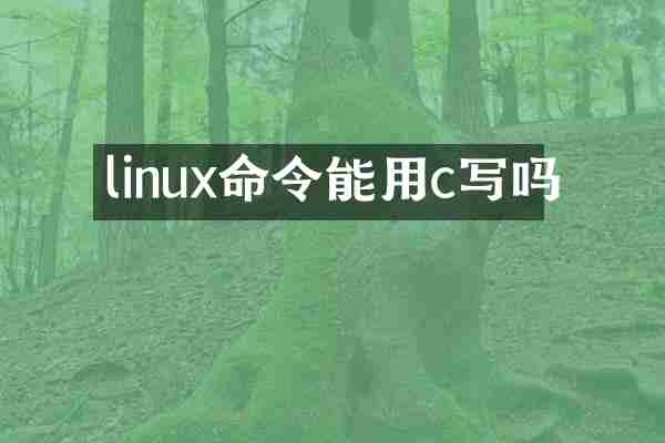 linux命令能用c写吗